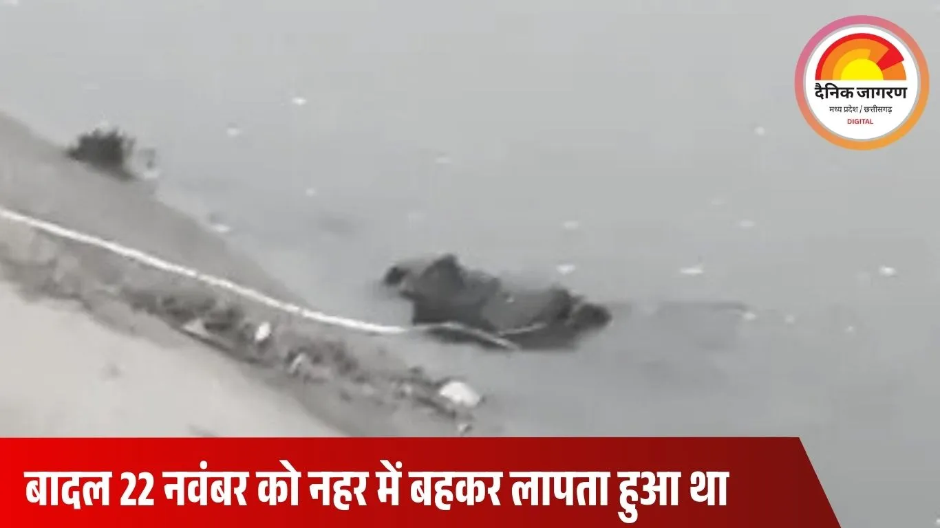 श्योपुर में चंबल नहर से मिला लापता ट्रैक्टर चालक का शव: 5 दिन बाद SDRF और पुलिस ने बरामद किया