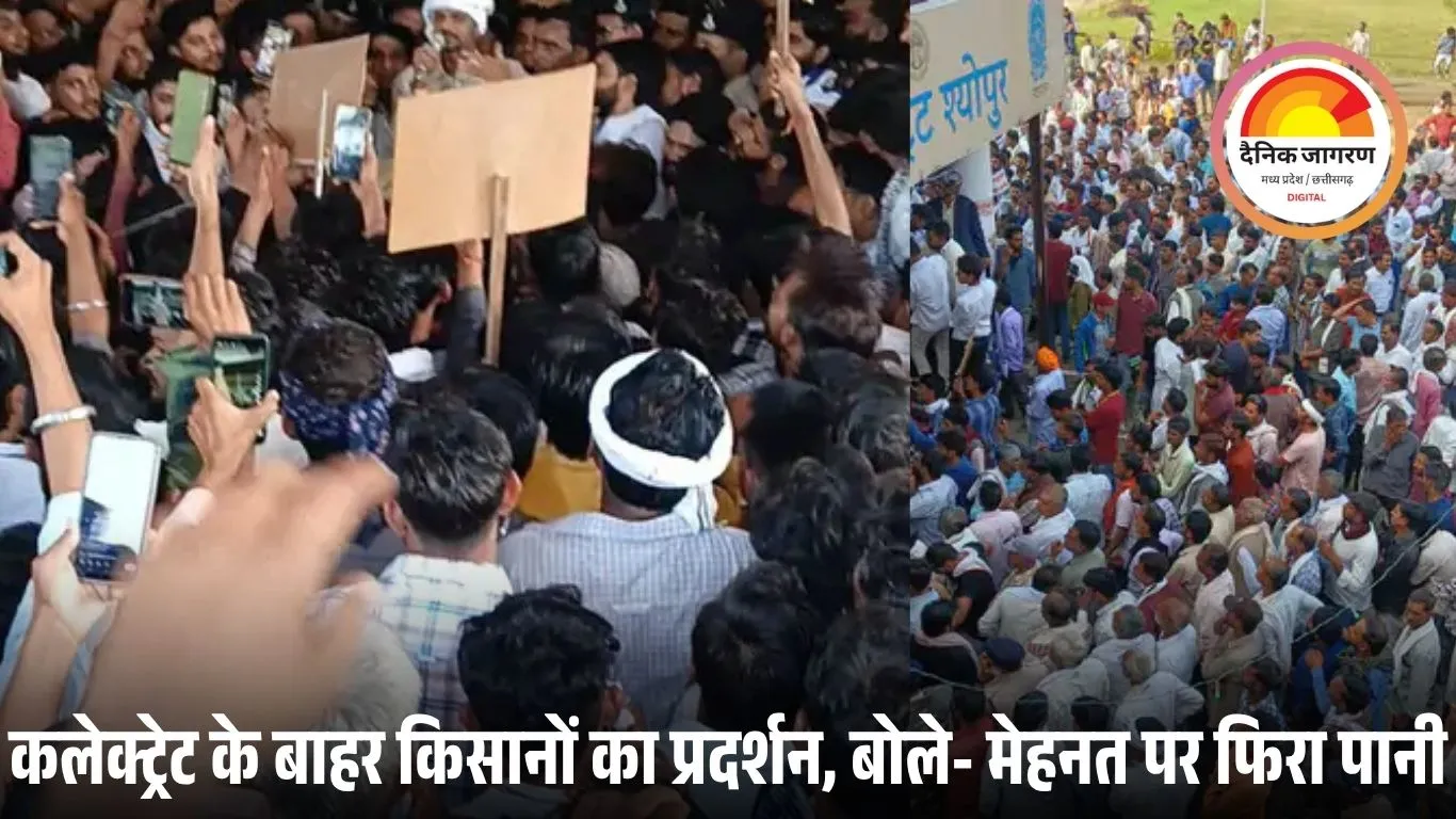 बारिश से बर्बाद फसल पर किसानों का गुस्सा फूटा: श्योपुर में कलेक्ट्रेट का घेराव, शत-प्रतिशत मुआवजे की मांग