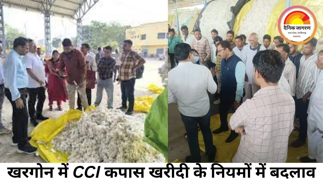 खरगोन में CCI कपास खरीदी के नियमों में बदलाव: 14 क्विंटल प्रति हेक्टेयर का मानक खत्म
