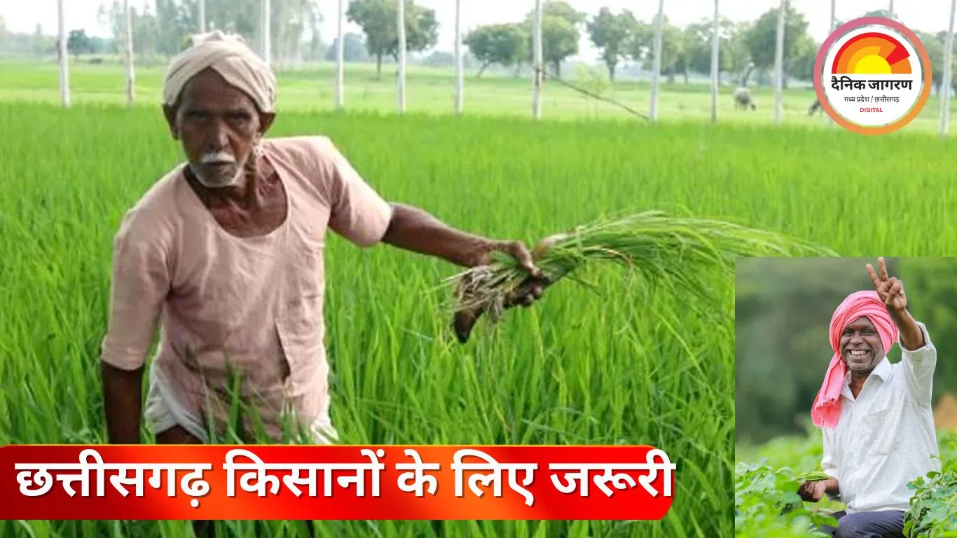 छत्तीसगढ़ के किसानों के लिए बड़ी खबर: रबी फसलों का बीमा कराने की अंतिम तिथि 31 दिसंबर 2025
