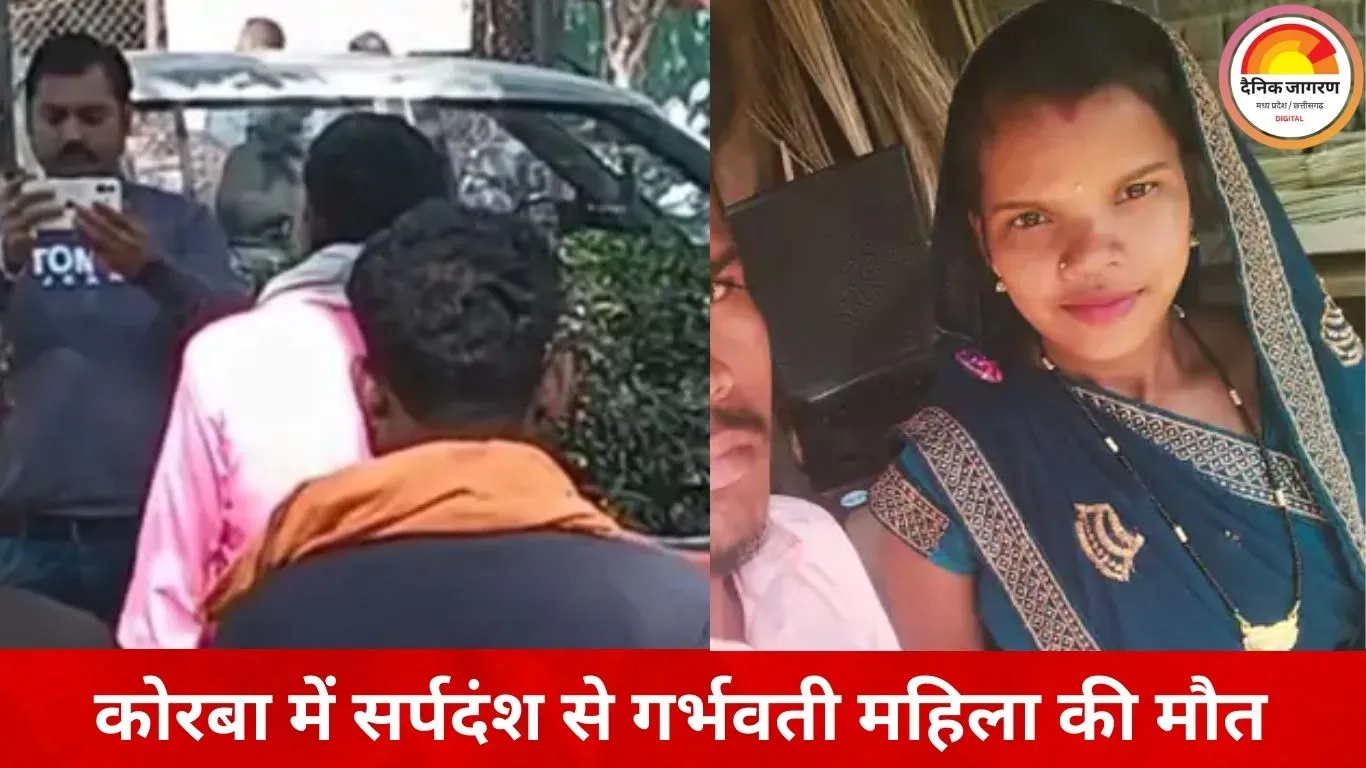 कोरबा में दर्दनाक हादसा: जहरीले सांप के डसने से 8 माह की गर्भवती महिला की मौत, 10 महीने पहले हुई थी शादी