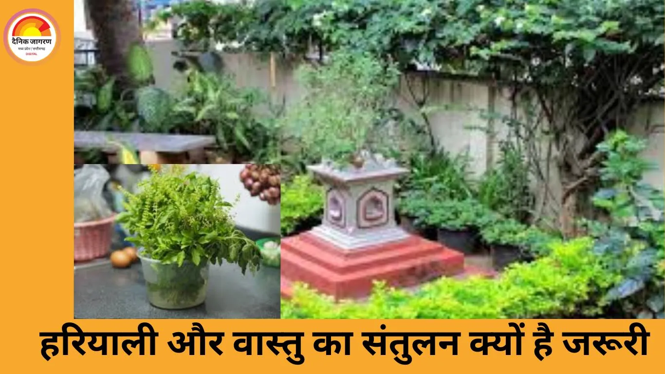 उत्तर-पूर्व दिशा में सही पौधे लगाने से बदलेगा घर का माहौल, तनाव घटेगा और समृद्धि बढ़ेगी