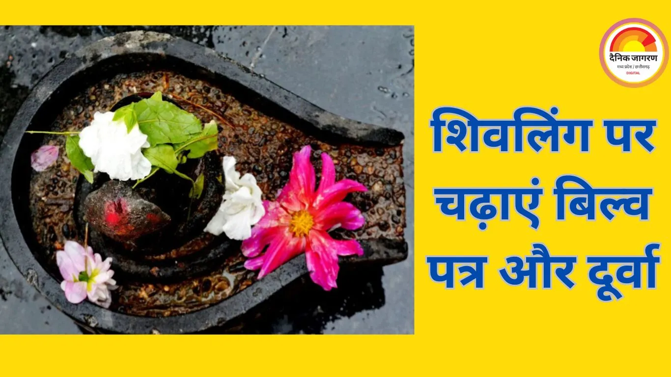 संकष्टी चतुर्थी 2025: शिवलिंग पर चढ़ाएं ये चीजें, मिलेगा विशेष कल्याण