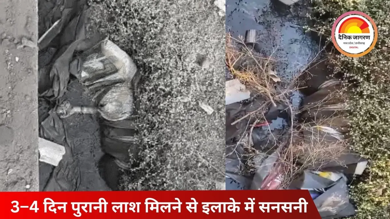 भिलाई में बोरे में बंद मिली अज्ञात महिला की लाश, दुर्गंध से खुला राज; हत्या कर फेंकने की आशंका