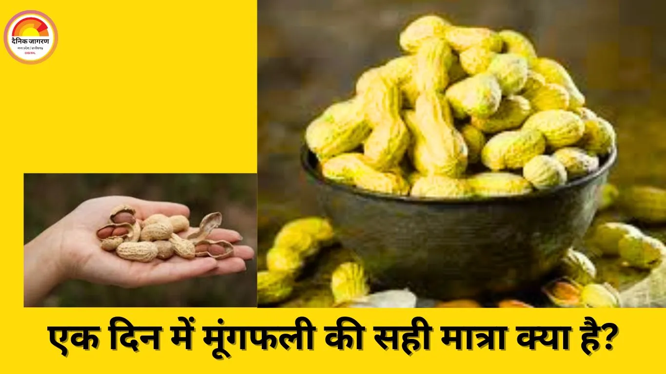 सर्दियों में मूंगफली का सेवन: जानें सही मात्रा और स्वास्थ्य लाभ