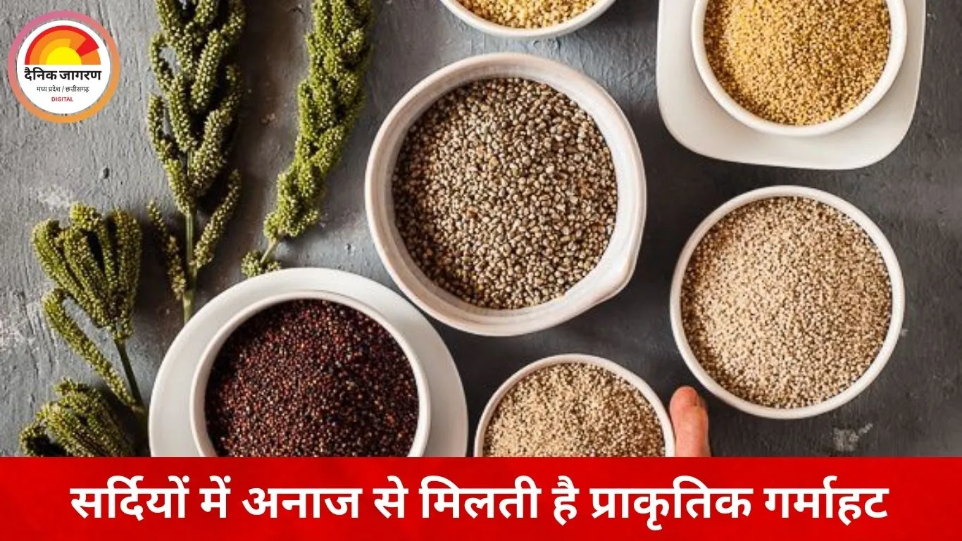 ठंड में इन अनाजों में छुपा है सेहत का राज, डॉक्टर भी कहते हैं—खाइए ये अनाज और पाएँ स्वस्थ रहने का वरदान