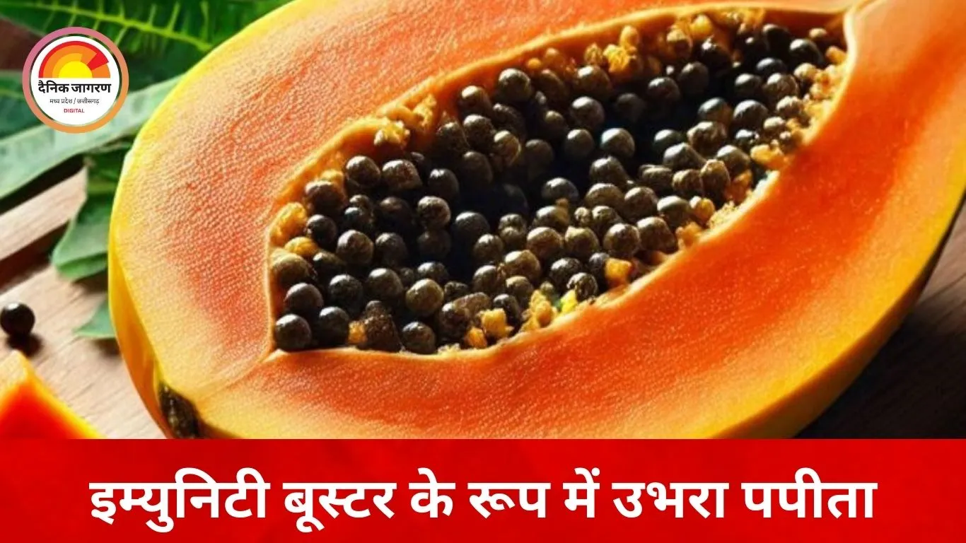 सर्दियों में सेहत का सहारा बना पपीता: इम्युनिटी से पाचन तक, जानिए क्यों बढ़ी इसकी मांग