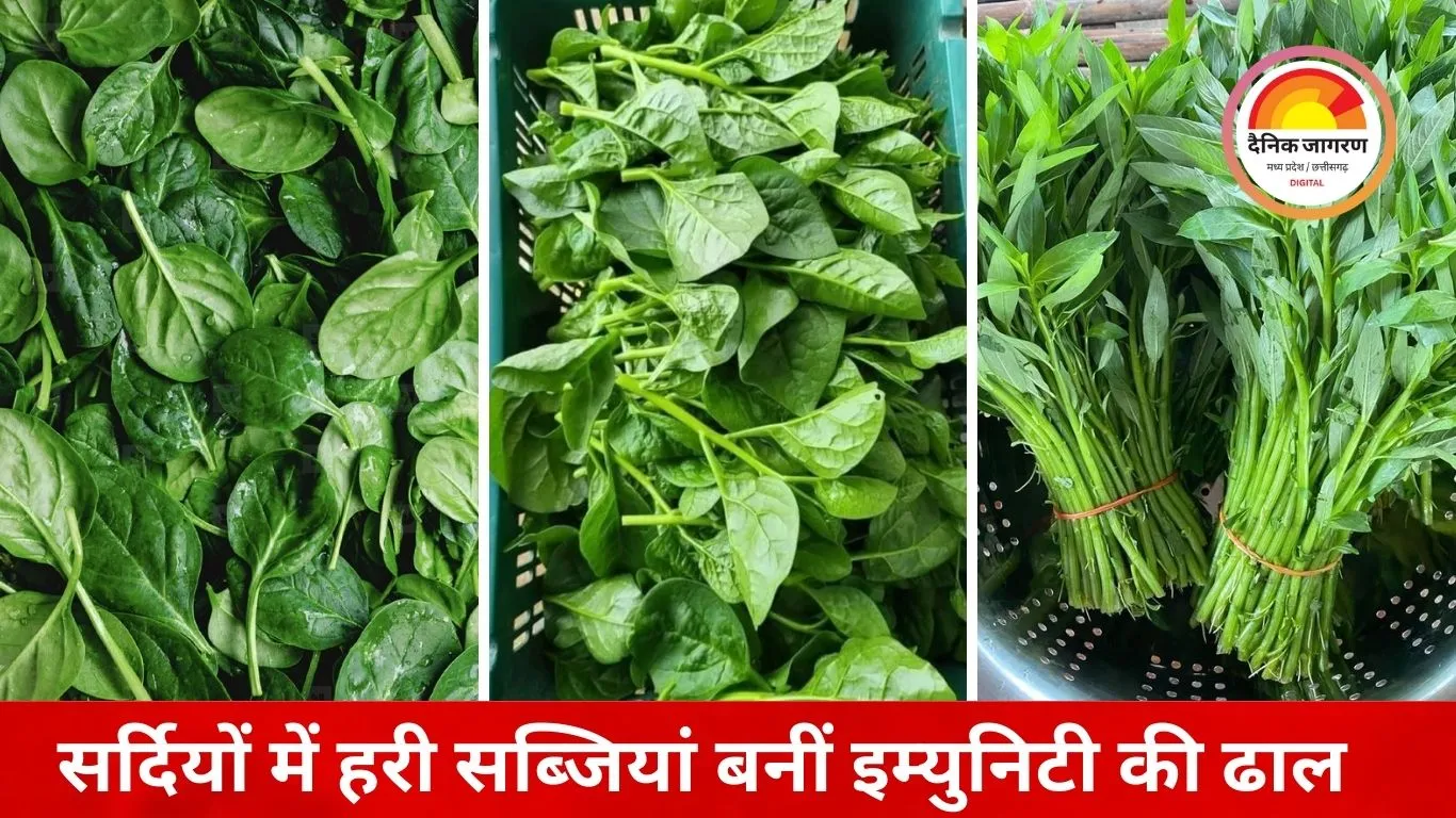 सर्दियों में हरी साग-सब्जियां बनीं सेहत का संजीवनी सूत्र, डॉक्टरों ने नियमित सेवन की दी सलाह
