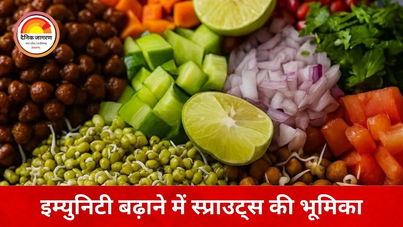 सर्दियों में स्प्राउट्स सेहत के लिए कितने सुरक्षित? डॉक्टरों की राय और सही सेवन का तरीका
