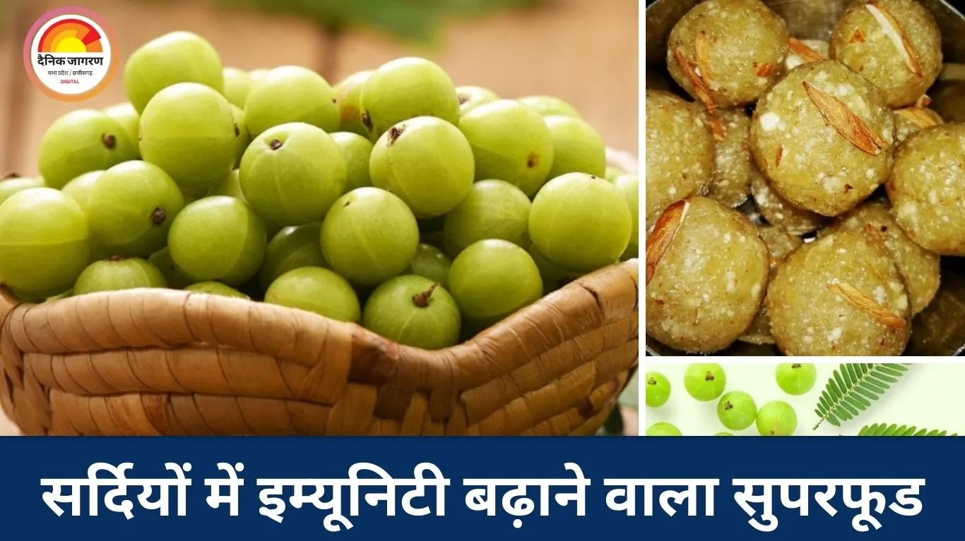 अमृत से कम नहीं आंवले का लड्डू, कसेलापन होगा दूर, स्वाद भी सेहत भी