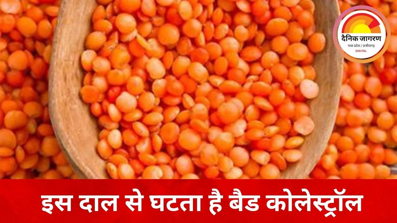 सर्दियों में कोलेस्ट्रॉल को कंट्रोल करती है यह दाल, दिल को रखती है सेहतमंद