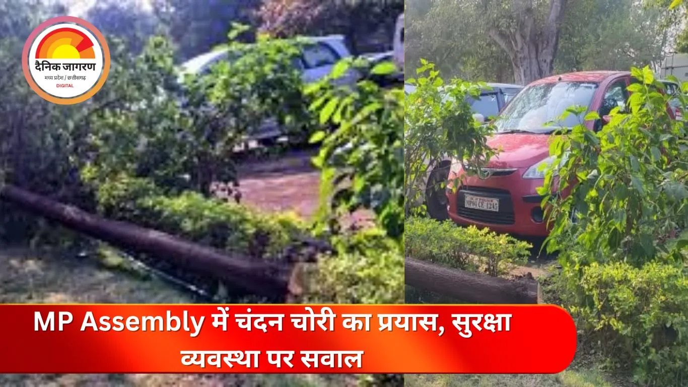 हाई सिक्योरिटी जोन में सेंधमारी: मध्यप्रदेश विधानसभा से चंदन का पेड़ चोरी का प्रयास