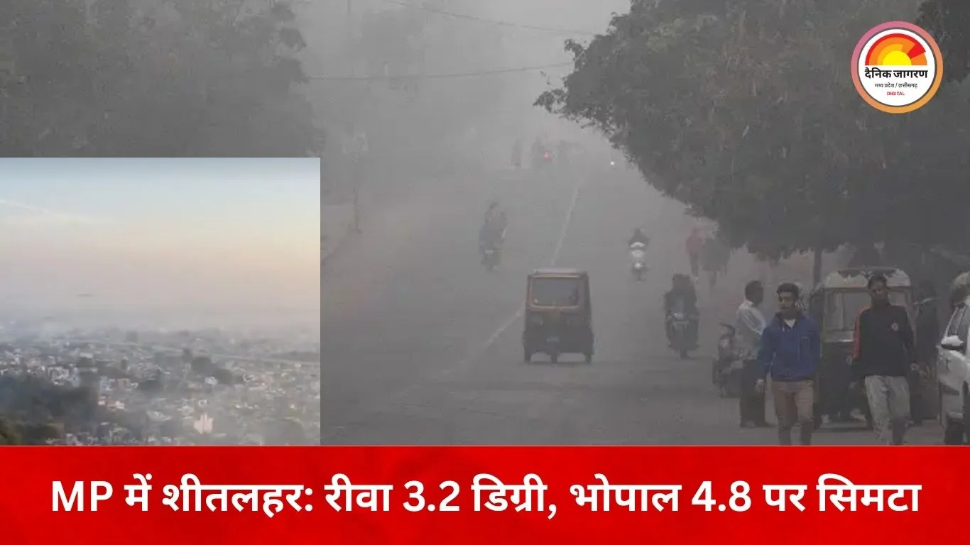 MP में शीतलहर का प्रकोप: रीवा सबसे ठंडा, भोपाल में पारा 4.8 डिग्री; कोहरे से ट्रेनें प्रभावित