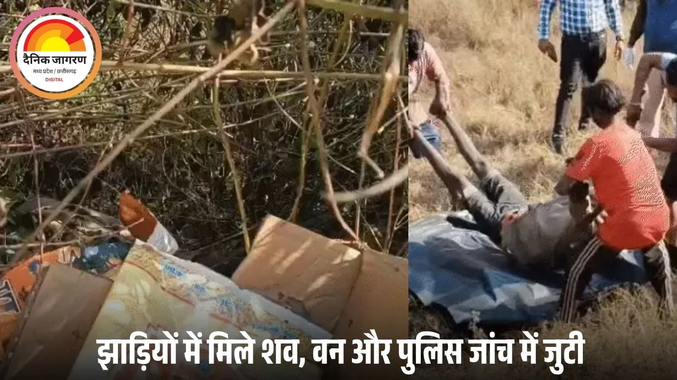 रायगढ़ में शिकार करने गए दो ग्रामीणों की संदिग्ध मौत, करंट लगने की आशंका; शव छिपाने के आरोप में 4 हिरासत में