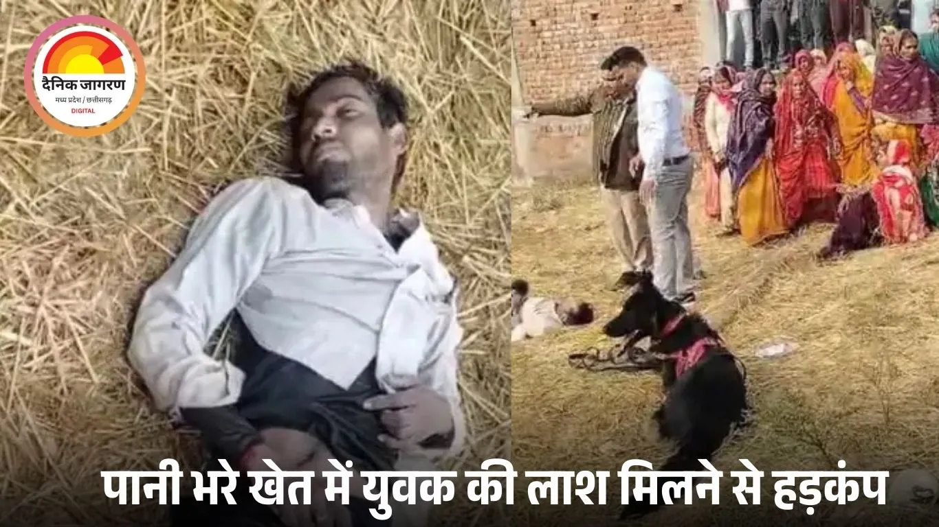 खेत में मिला युवक का शव, हत्या की आशंका से सनसनी; सिंगरौली में जांच के लिए उतरी पुलिस