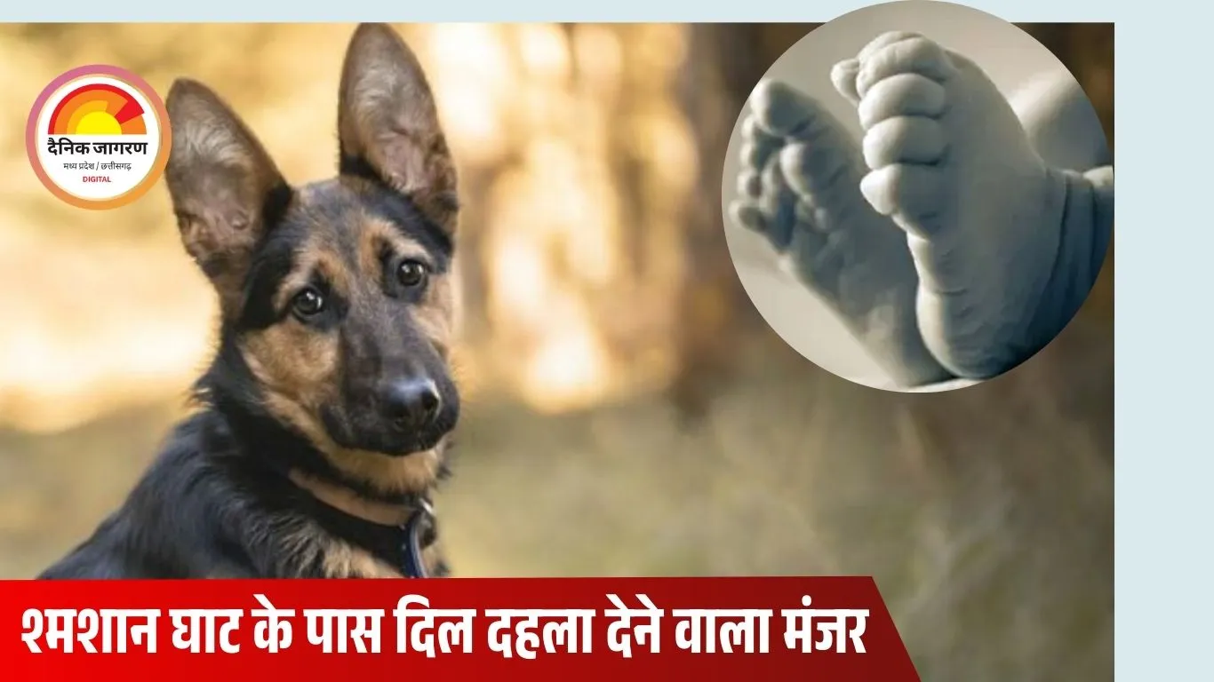 विदिशा में दिल दहला देने वाली घटना: श्मशान घाट के पास कुत्ते के मुंह में मिला नवजात का शव, इलाके में फैली दहशत