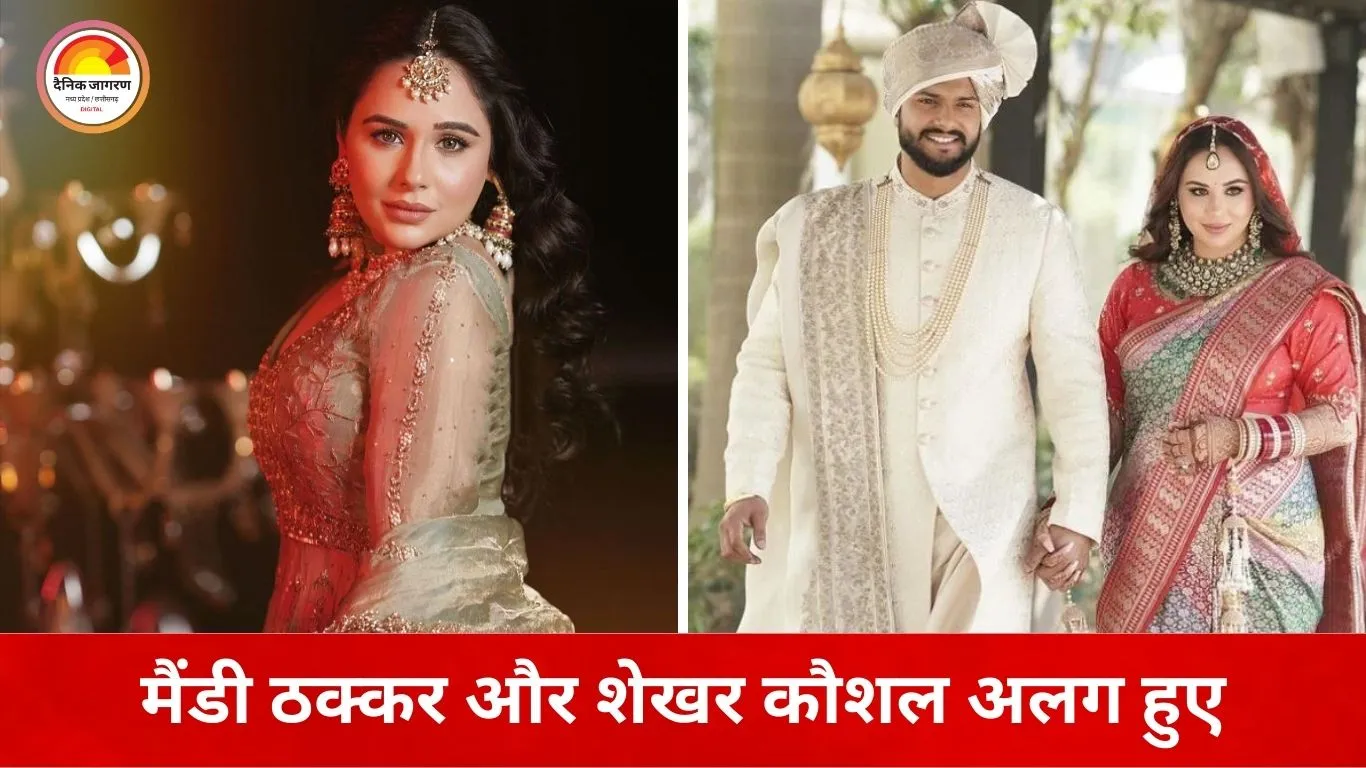 पंजाबी अभिनेत्री मैंडी ठक्कर और शेखर कौशल का तलाक: दिल्ली की फैमिली कोर्ट ने आपसी सहमति से पहली अर्जी मंजूर की