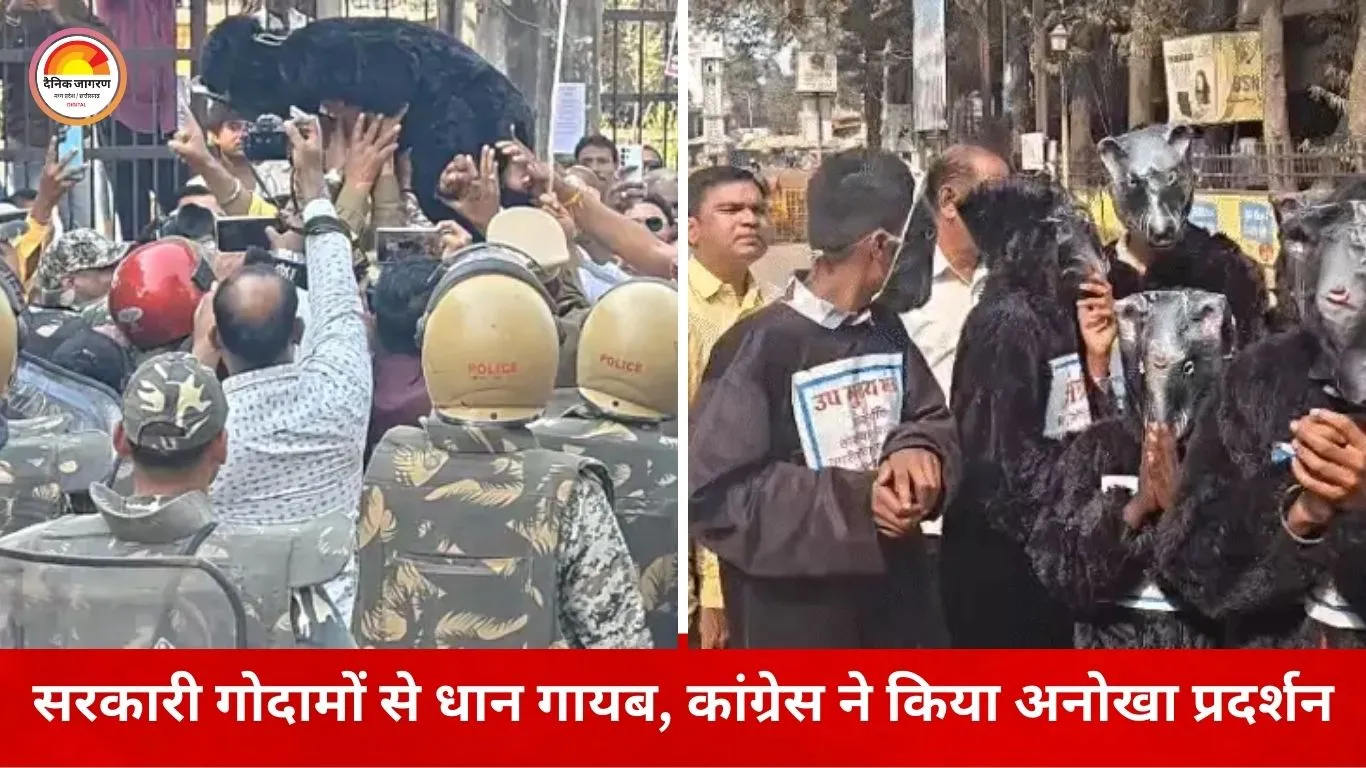 सरकारी गोदामों से धान गायब होने पर कांग्रेस का अनोखा विरोध, दुर्ग में निकाली ‘चूहों की बारात’