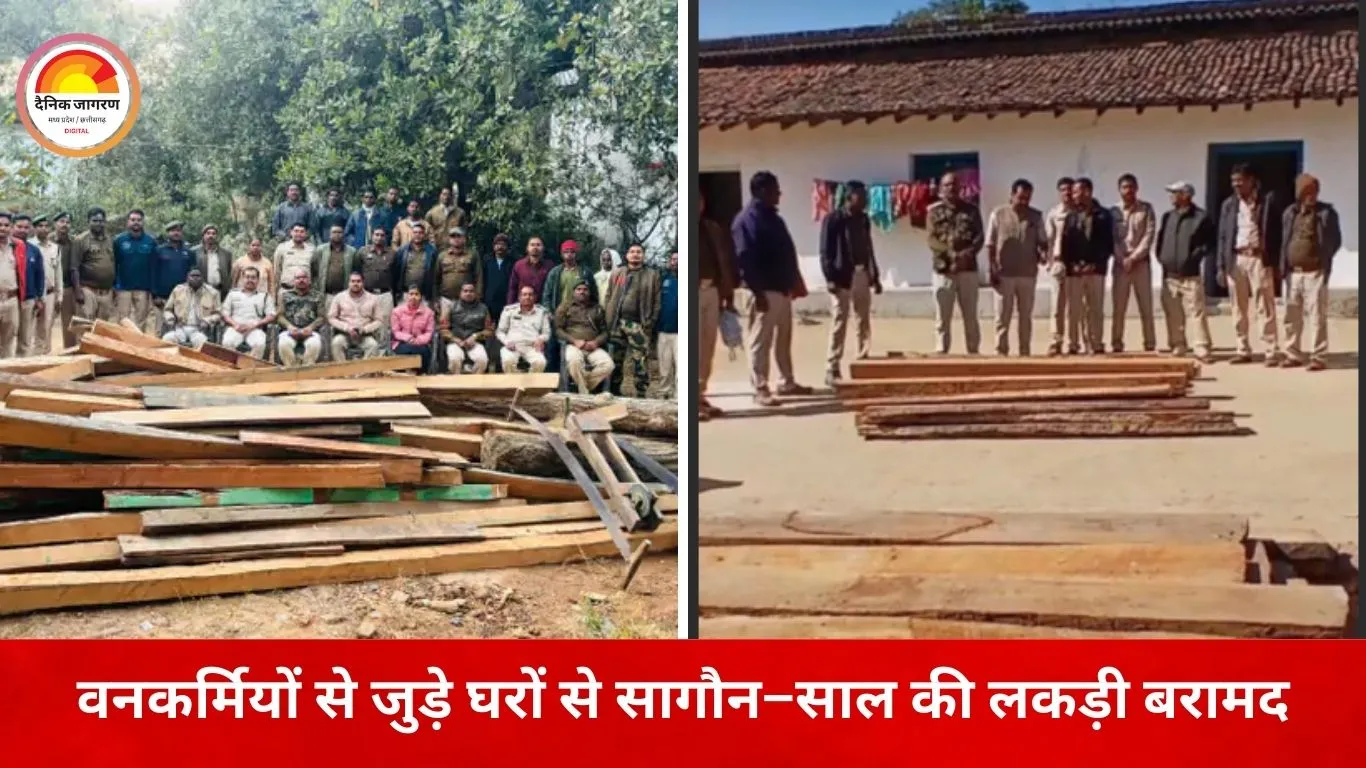 कोरबा में वन विभाग की बड़ी कार्रवाई, वनकर्मियों से जुड़े ठिकानों पर छापे में 2.21 लाख की इमारती लकड़ी जब्त