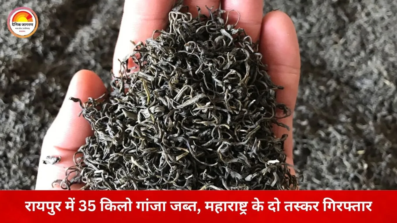 रायपुर में गांजा तस्करी का खुलासा: महाराष्ट्र के दो आरोपी गिरफ्तार, पुलिस वाहन को टक्कर मारकर भागने की कोशिश नाकाम