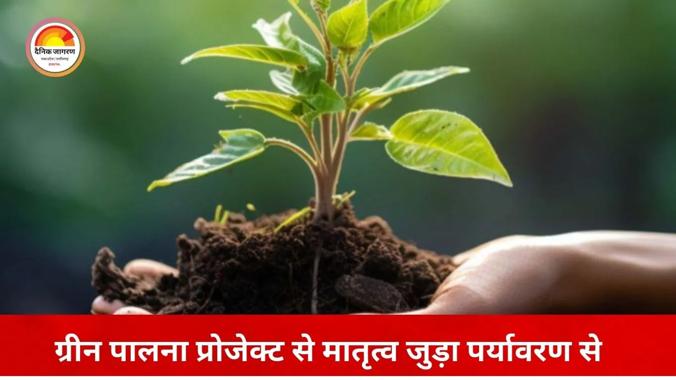 रायपुर में ‘ग्रीन पालना’ पहल: बच्चे के जन्म के साथ मां को मिलेगा पौधा, पर्यावरण से जोड़ा मातृत्व