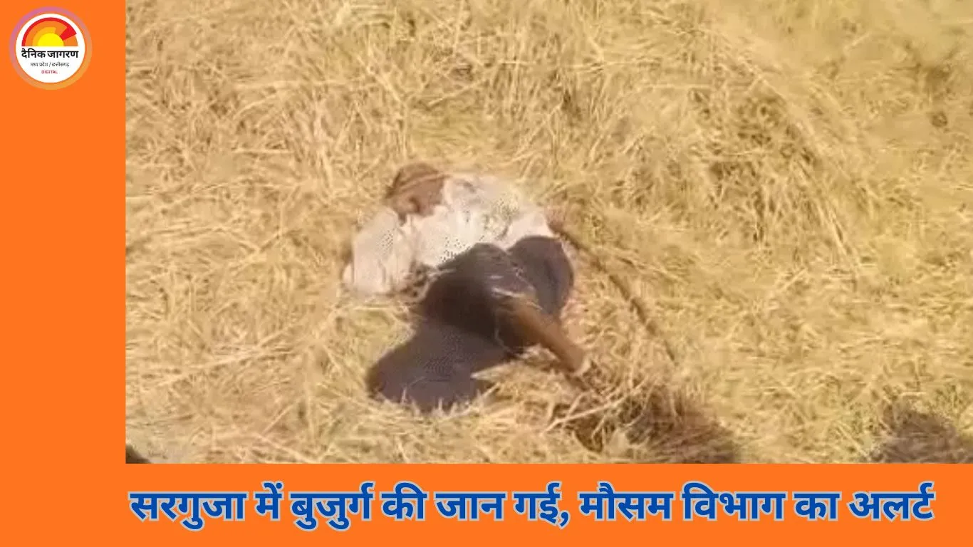 छत्तीसगढ़ में ठंड का कहर: 22 दिन में दूसरी मौत, मौसम विभाग ने बारिश का अलर्ट जारी किया