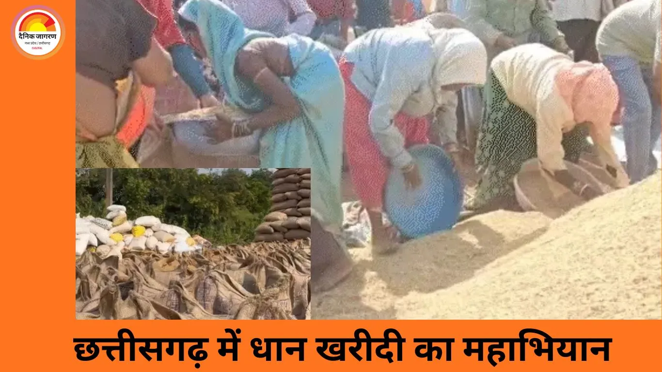 छत्तीसगढ़ में धान खरीदी का रिकॉर्ड, सरकार ने 16.95 लाख किसानों से खरीदा 93.12 लाख मीट्रिक टन धान