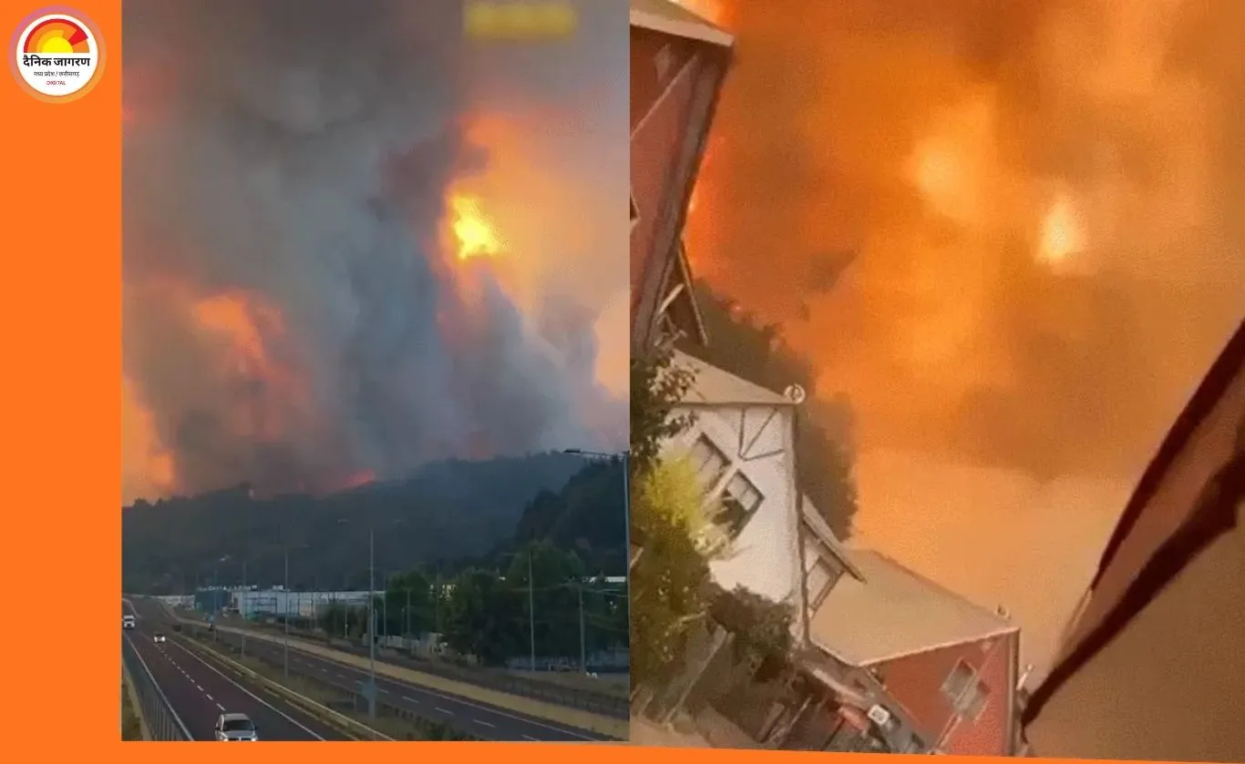 चिली में जंगल की भीषण आग ने मचाई तबाही: 19 की मौत, 50 हजार से ज्यादा लोग बेघर