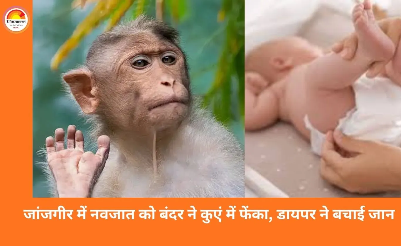 जांजगीर में चमत्कार: बंदर ने 15 दिन की नवजात को कुएं में गिराया, डायपर ने बचाई जान