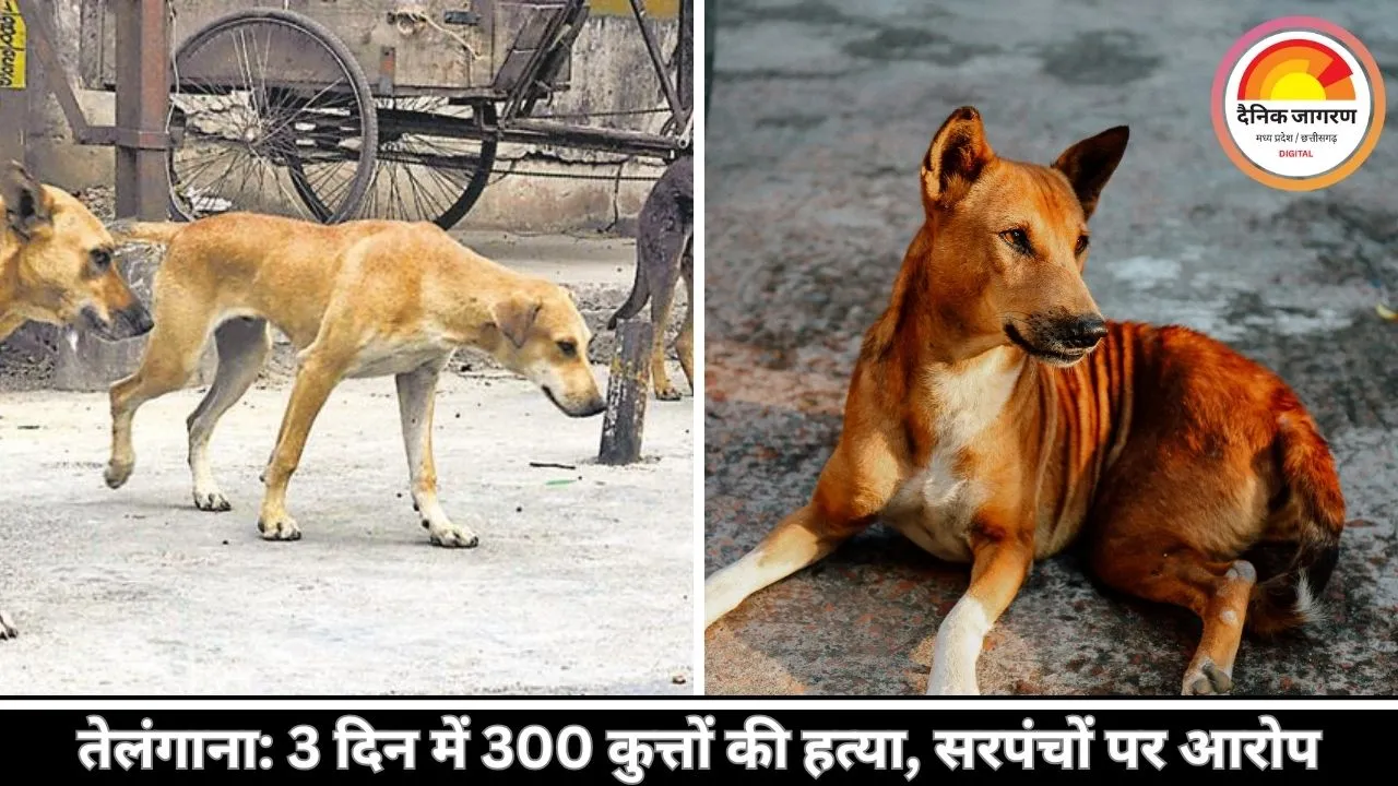 तेलंगाना में मानवता शर्मसार: 3 दिन में 300 आवारा कुत्तों को मौत, गांव के सरपंचों पर FIR