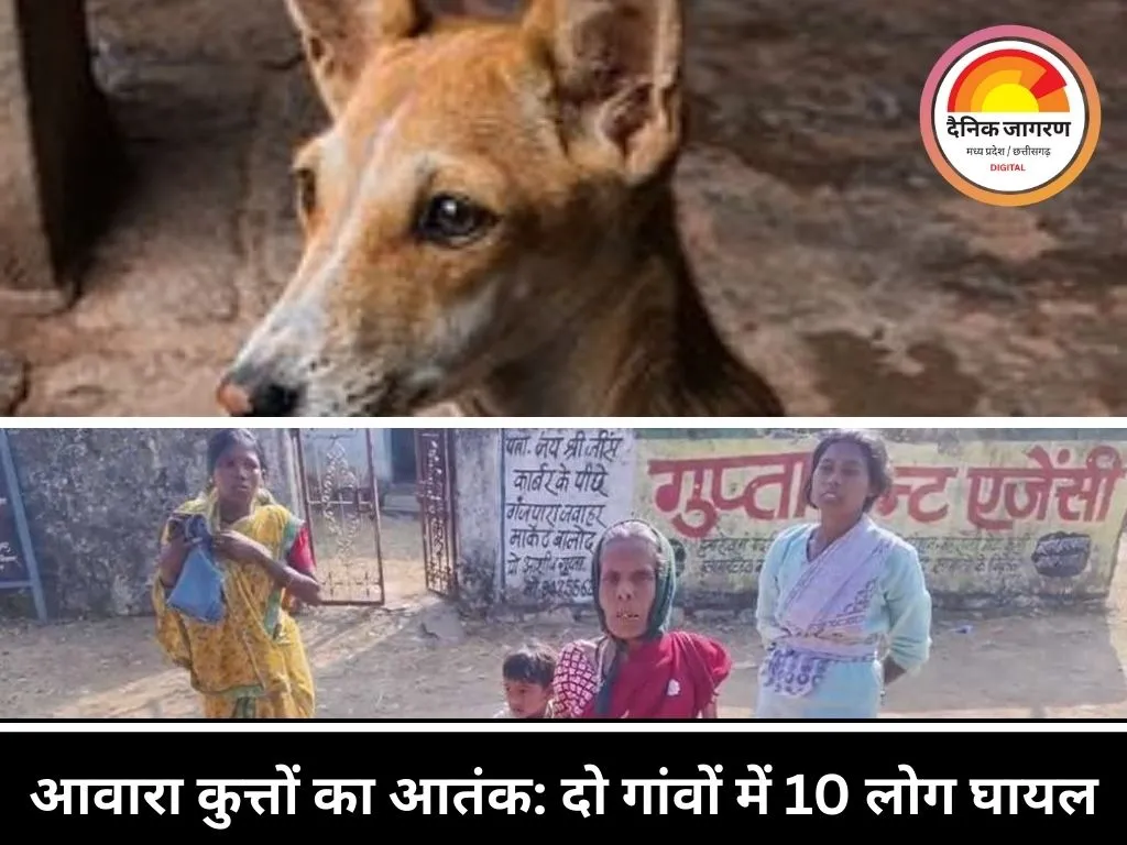 आवारा कुत्तों का आतंक: बालोद के दो गांवों में एक ही दिन 10 लोग घायल, दहशत के साये में ग्रामीण