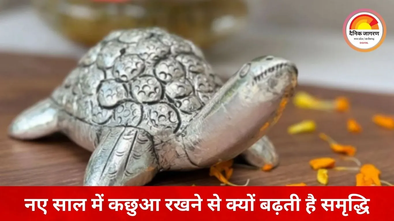 नए साल में घर लाएं कछुआ, सुख-समृद्धि और आर्थिक स्थिरता का माना जाता है प्रतीक