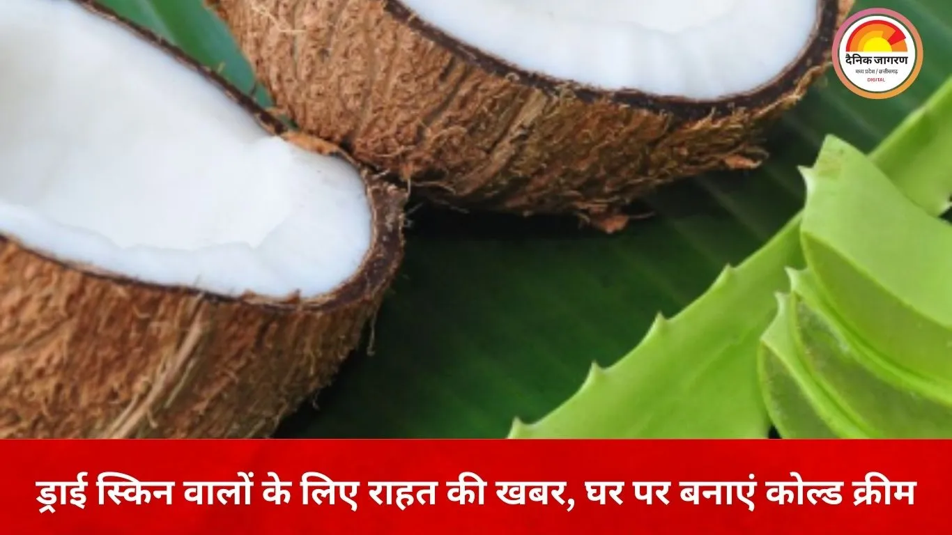 महंगी क्रीम की जरूरत नहीं: सर्दियों में घर पर बनाएं नेचुरल कोल्ड क्रीम