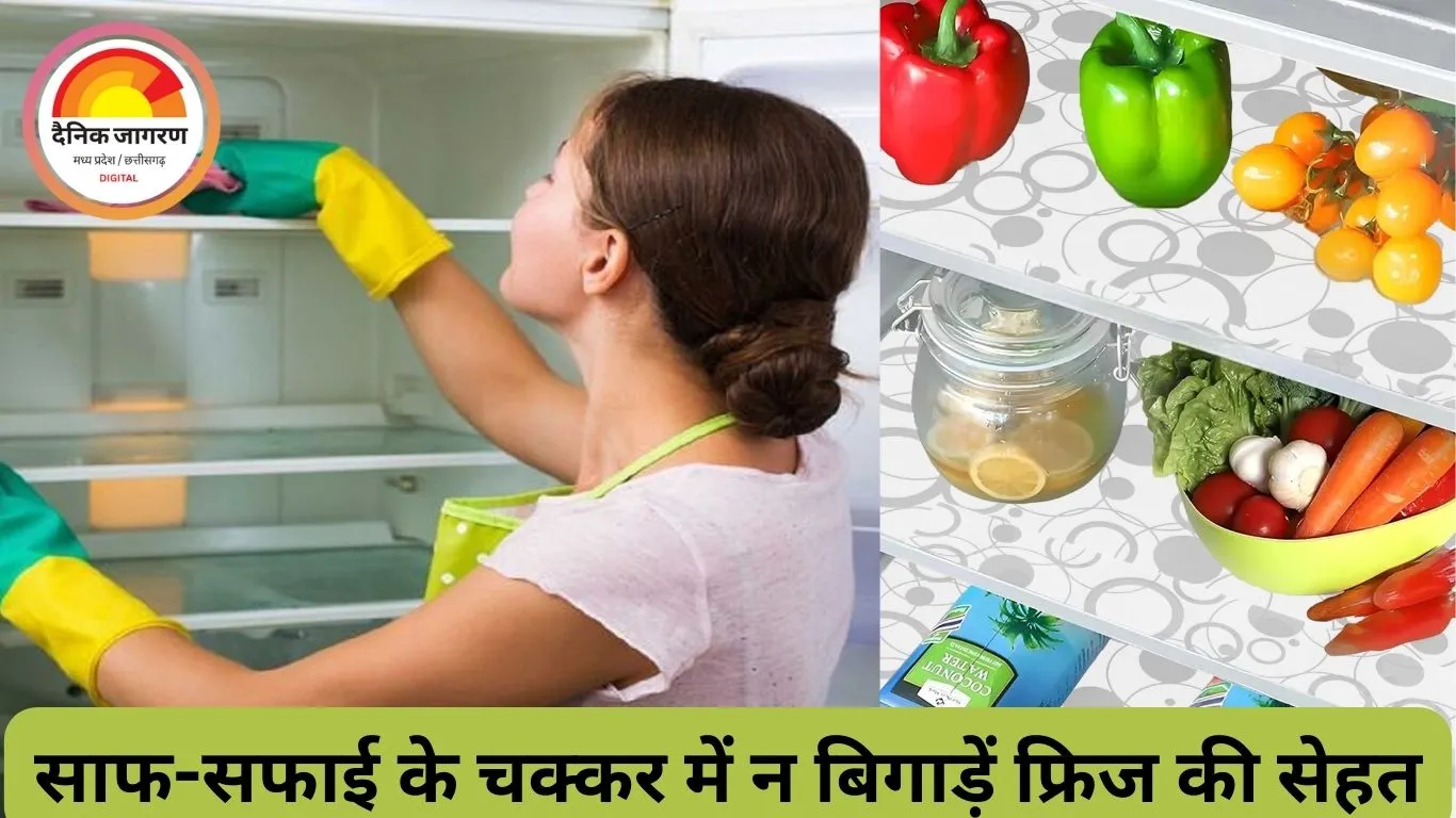 फ्रिज में मैट बिछाने की आदत पड़ सकती है भारी, सेहत के साथ बढ़ सकता है बिजली का बिल
