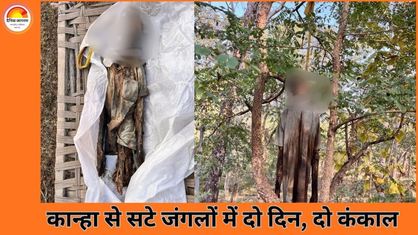 कान्हा के जंगलों में दहशत: दो दिन में मिले दो मानव कंकाल, जांच में जुटी पुलिस