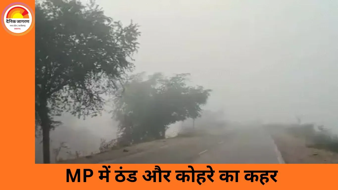 कोहरे और सर्द हवाओं की चपेट में मध्यप्रदेश, जनजीवन प्रभावित