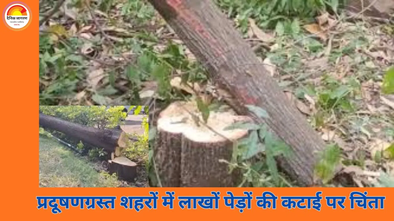 प्रदूषण से जूझते मध्य प्रदेश में विकास की कीमत: लाखों पेड़ों की कटाई पर उठे सवाल