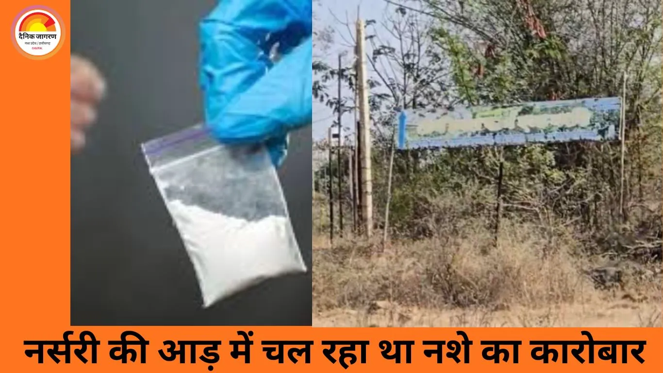 आगर मालवा में पौधों की नर्सरी की आड़ में एमडी ड्रग्स फैक्ट्री का भंडाफोड़, नारकोटिक्स ने 10 करोड़ का नशा पकड़ा