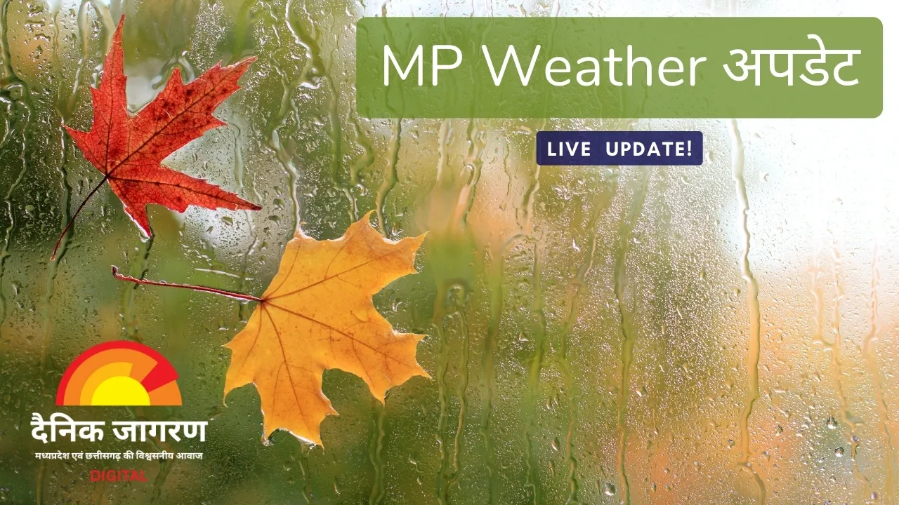 MP Weather Alert: प्रदेश में और चुभेगी ठंड, 2–3 दिन में तेज होंगी बर्फीली हवाएं, कोहरे का दायरा बढ़ा
