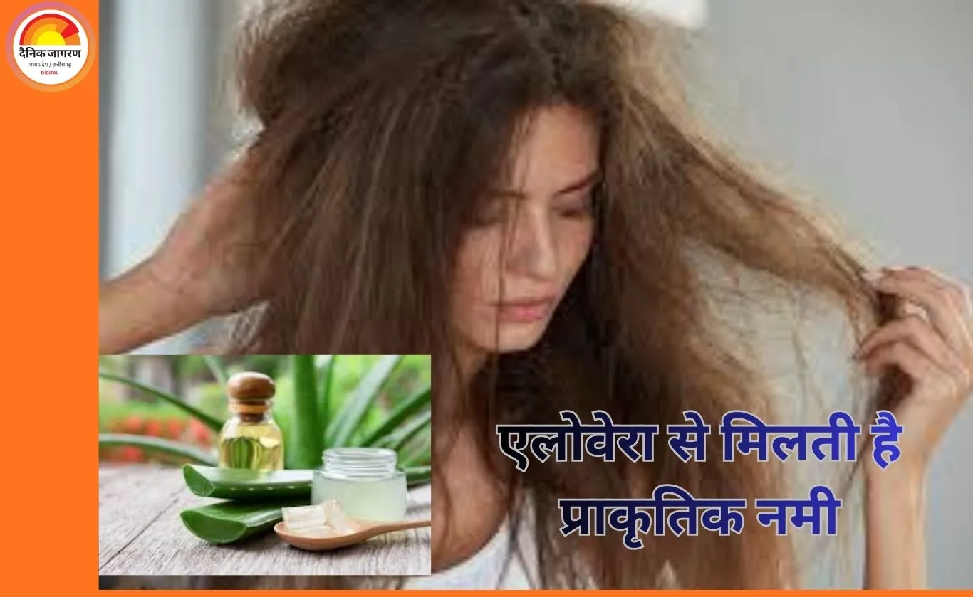 बालों के रूखेपन और फ्रिजीनेस से परेशान? एलोवेरा से पाएँ प्राकृतिक नमी और स्मूद हेयर