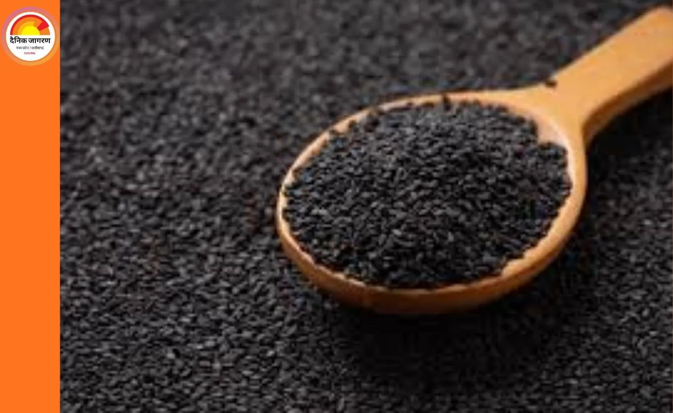 सेहत के लिहाज से फायदेमंद है कलौंजी, जानें इसके पोषण और सही उपयोग