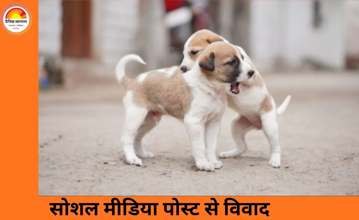 अमेरिका में सोशल मीडिया बयान पर सियासी घमासान, सांसद की टिप्पणी से विवाद तेज