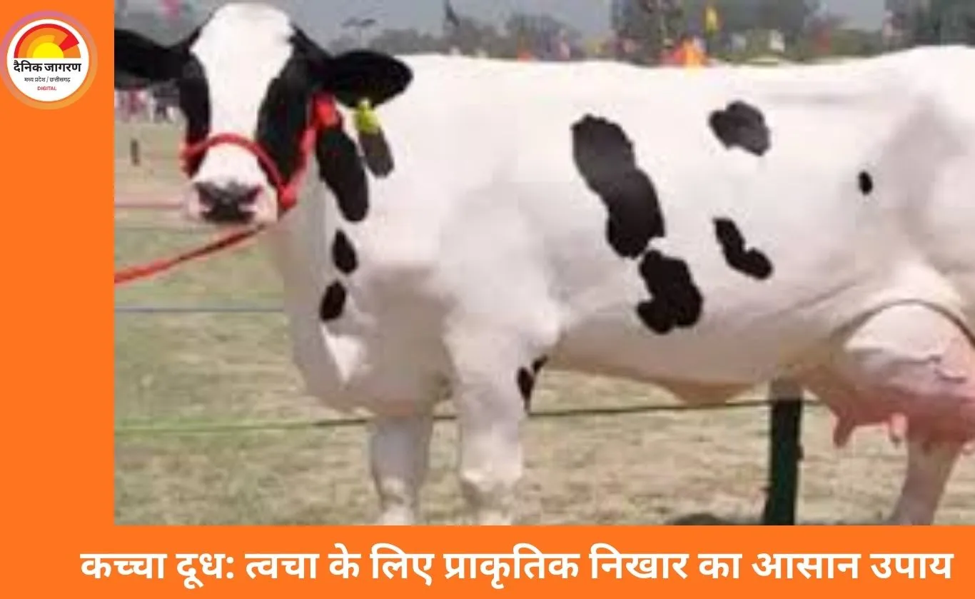 गाय का कच्चा दूध: त्वचा की समस्याओं का प्राकृतिक समाधान, टैनिंग हटाकर लाए निखार