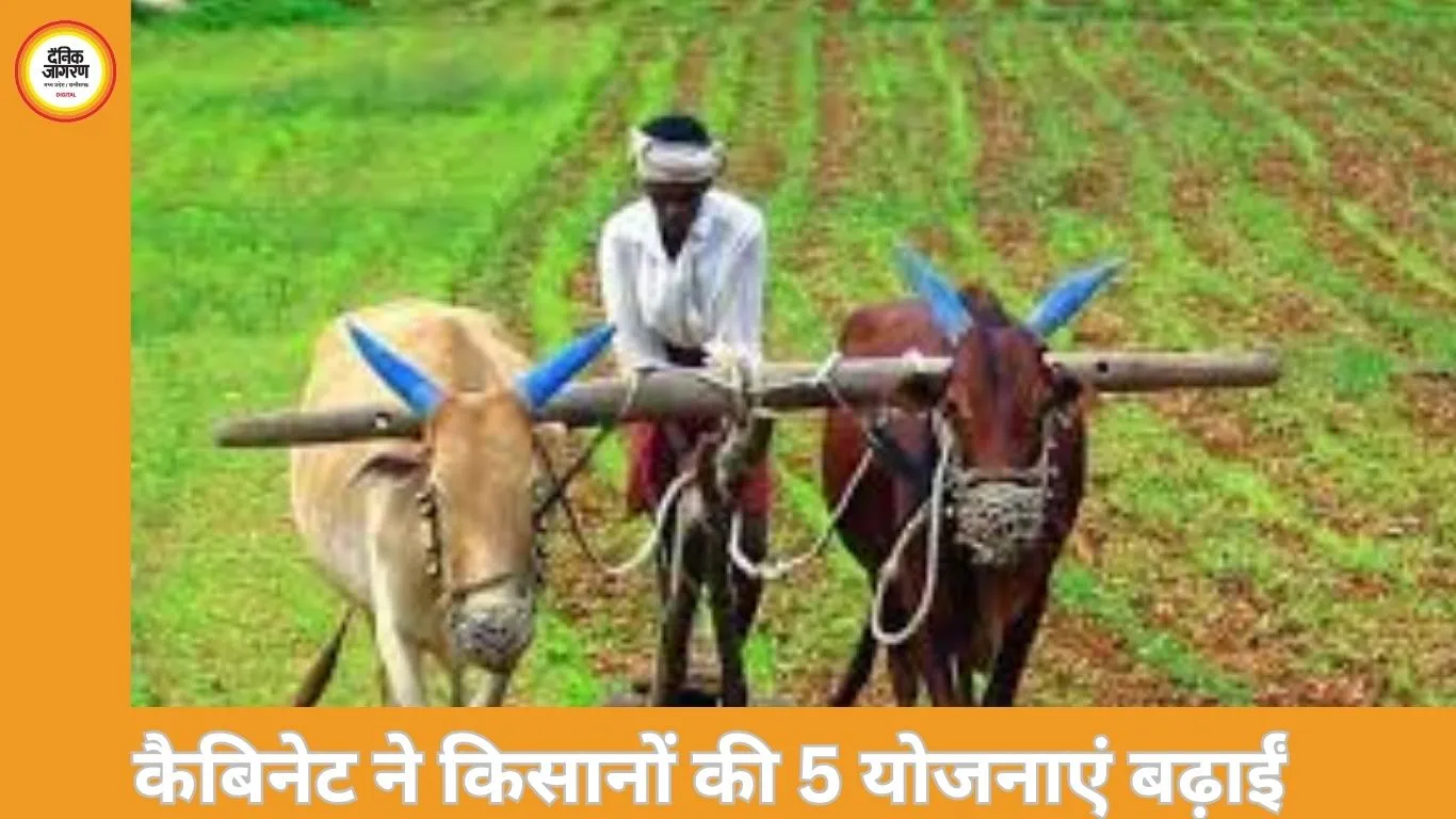 किसानों के लिए 10,500 करोड़ की स्वीकृति: सरसों में भावांतर, उड़द पर बोनस; योजनाएं 2031 तक जारी