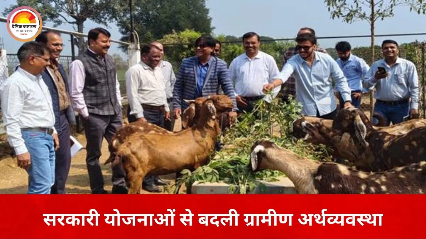 कृषि और पशुपालन से बदली ग्रामीण तस्वीर, सरकारी योजनाओं ने किसानों को बनाया उद्यमी