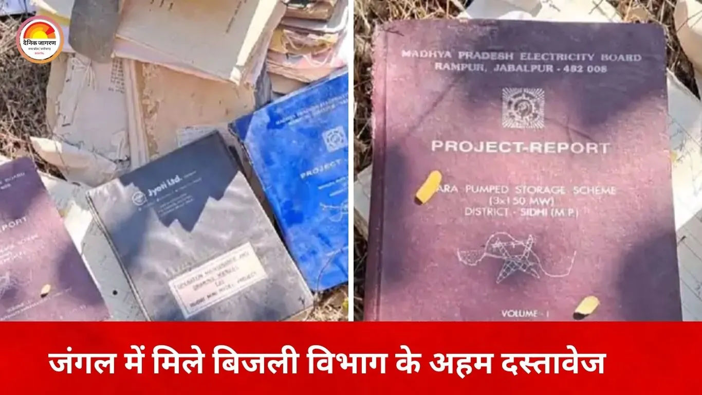 जबलपुर में जंगल से मिले बिजली विभाग के अहम कागजात
