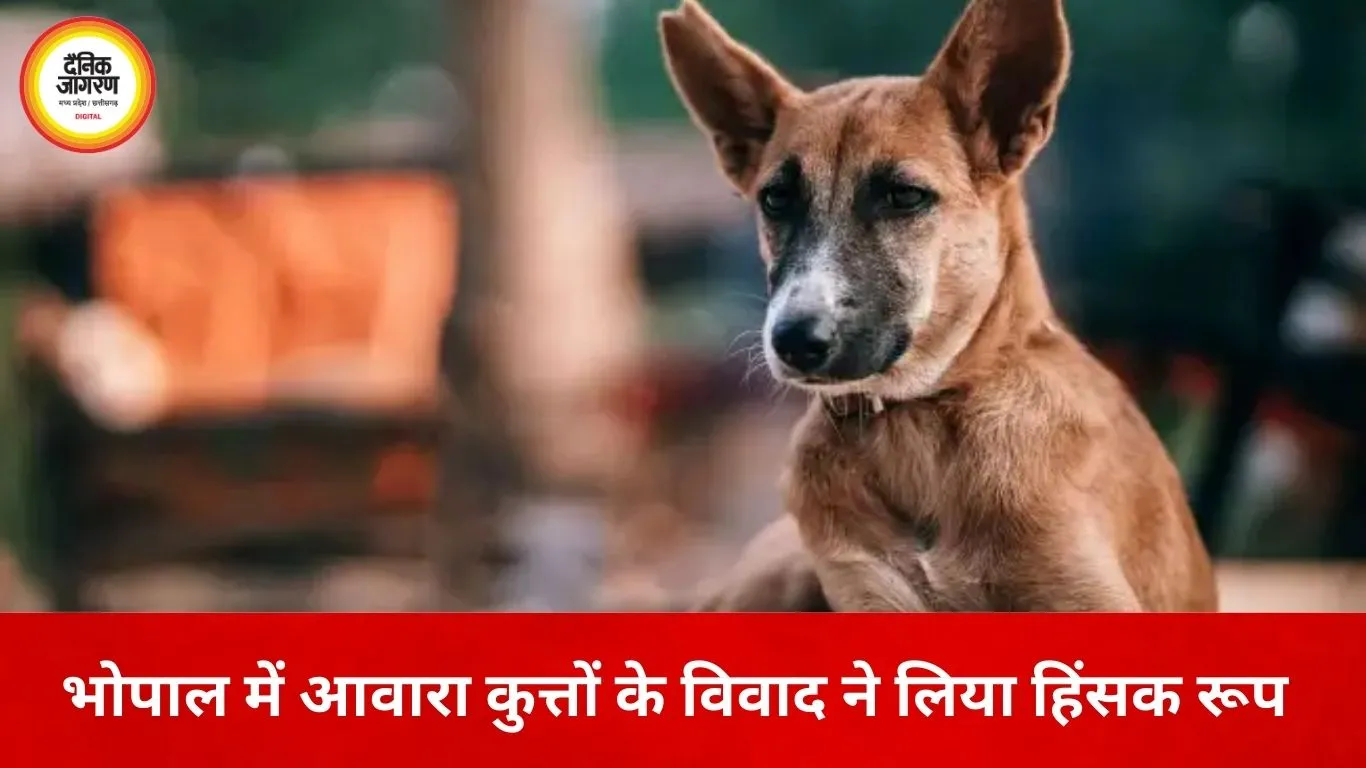 भोपाल में पेट लवर्स का हिंसक विरोध: आवारा कुत्तों की शिकायत पर दो महिलाओं पर तलवार से हमला, CCTV में कैद वारदात
