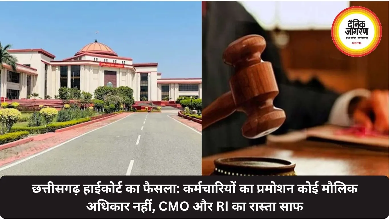 छत्तीसगढ़ हाईकोर्ट का फैसला: कर्मचारियों का प्रमोशन कोई मौलिक अधिकार नहीं, CMO और RI का रास्ता साफ