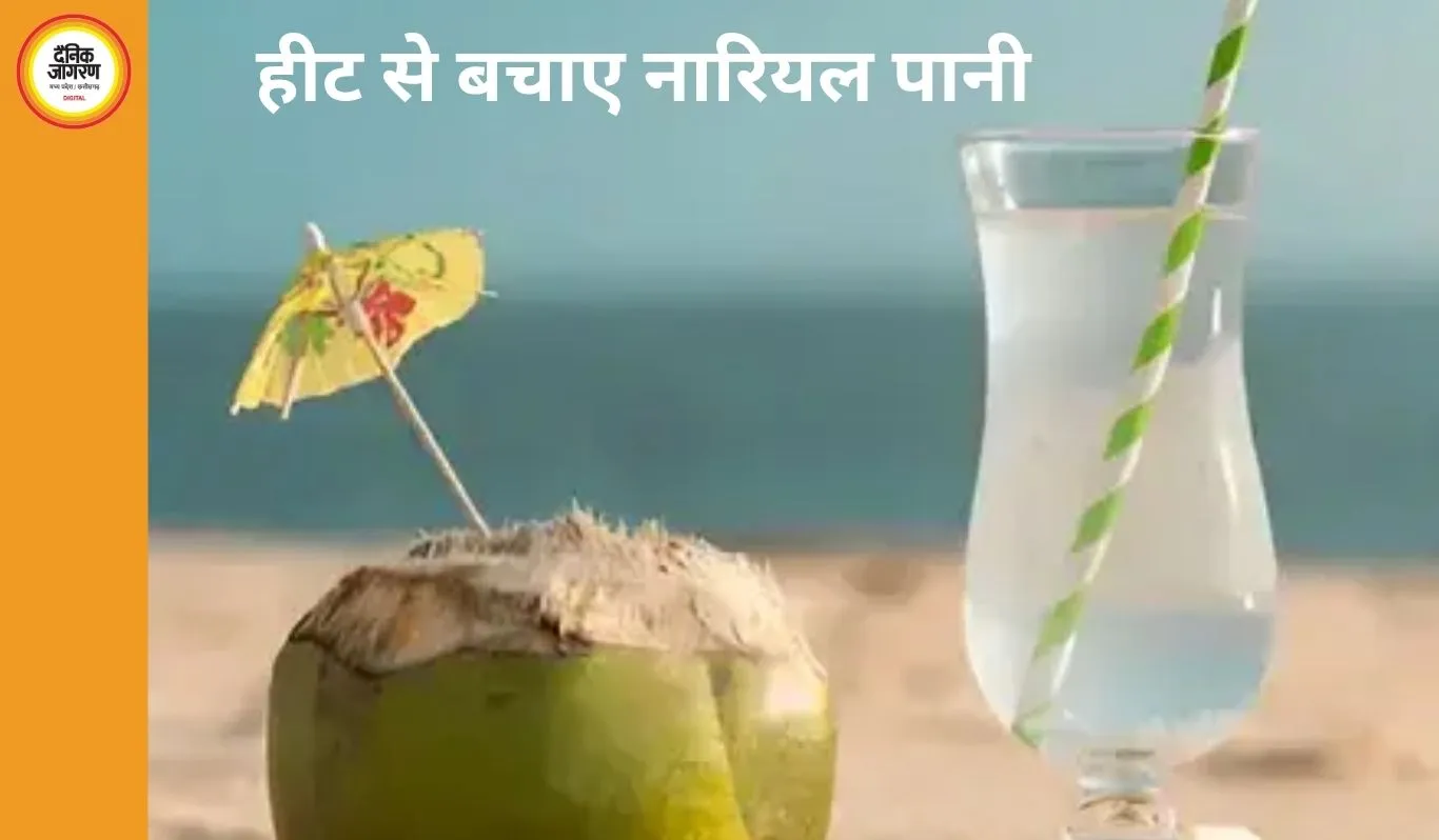 गर्मियों में सेहत का अमृत: क्यों पीना चाहिए नारियल पानी?