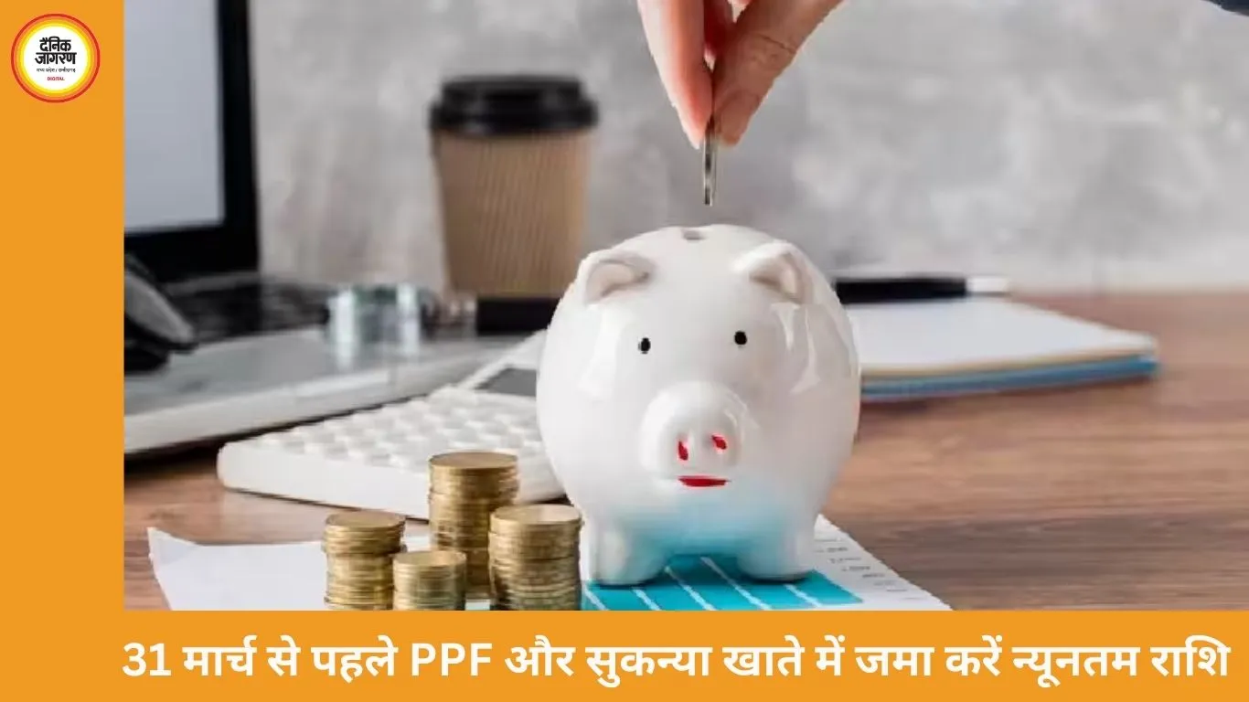 31 मार्च तक PPF और सुकन्या समृद्धि में न्यूनतम राशि जमा करना जरूरी